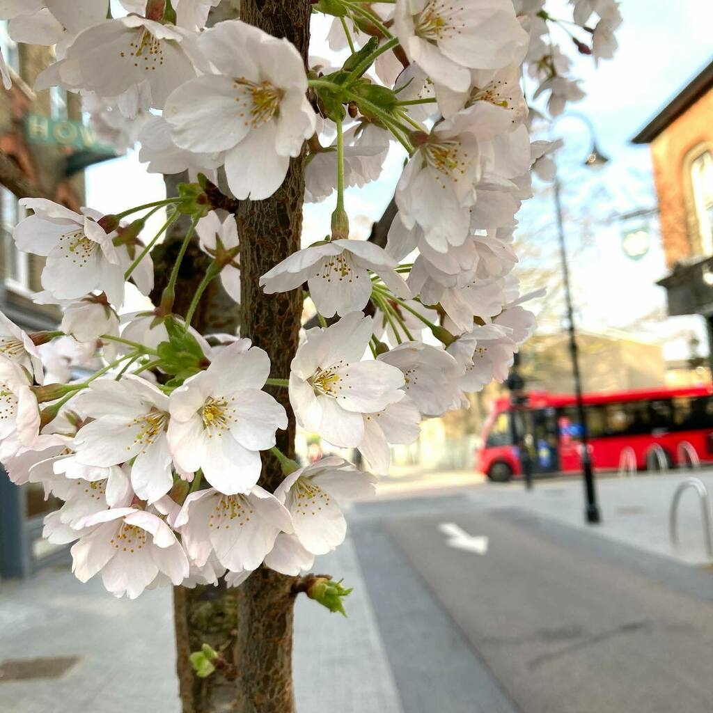 Good morning! Did you put all of your clocks forward yet? Despite trying to ease ourselves into the time change throughout the week it was still 9.45 until I ate breakfast 🤷‍♀️