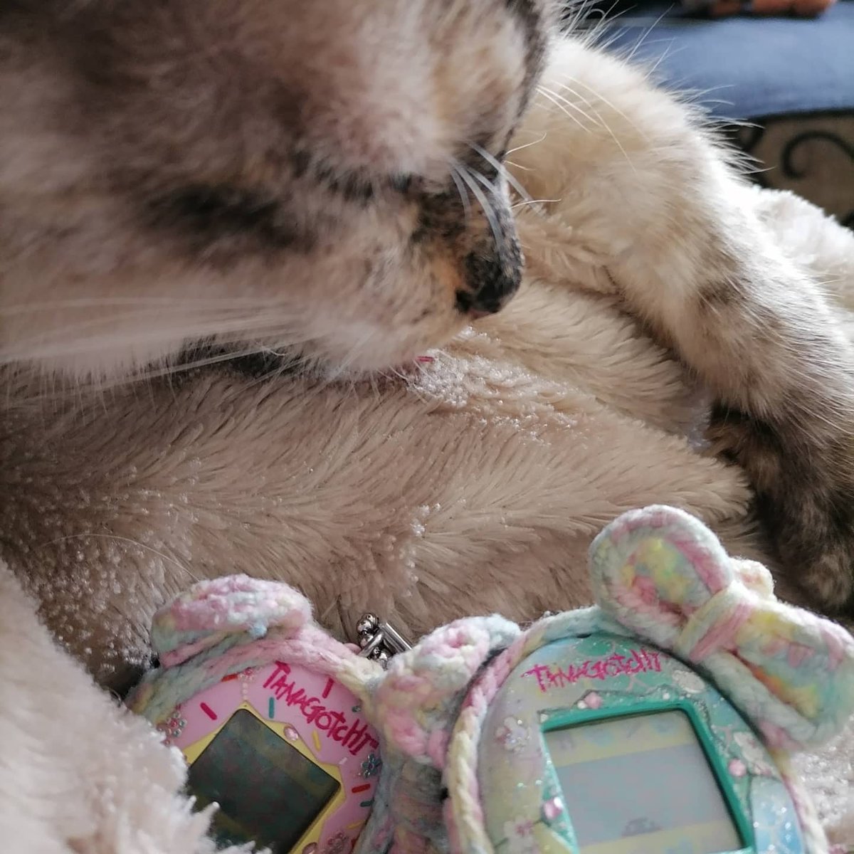 AdelBastin's tweet photo. #tamagotchicollectors #tamagothi #tamapalace #tamagotchi_us #tamagotchicollector #virtualpet #hellokittyfanatic #dinky #hellokitty #hellokittycollection #vpet #tama_palace #tamagotchiON #bandi #tamaworld
My cat is watching the twins girls awwwwww so sweet https://t.co/d7m1kuOGB8