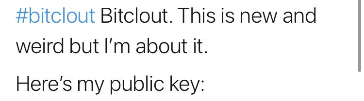 tweet screenshot: “#bitclout Bitclout. This is new and weird but I’m about it. “