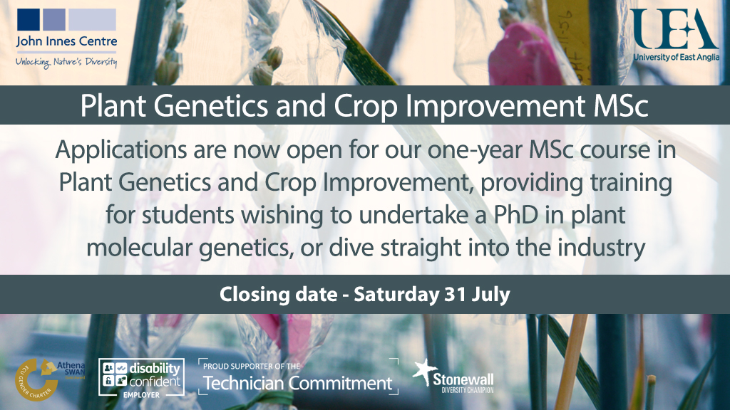 JohnInnesCentre's tweet photo. MASTERS - Applications are now open for our one-year MSc course in Plant Genetics and Crop Improvement, providing training for students wishing to undertake a PhD in plant molecular genetics, or dive straight into the industry

📅 - Saturday 31 July

https://t.co/YdQm4quL07 https://t.co/NIVdW2owSr