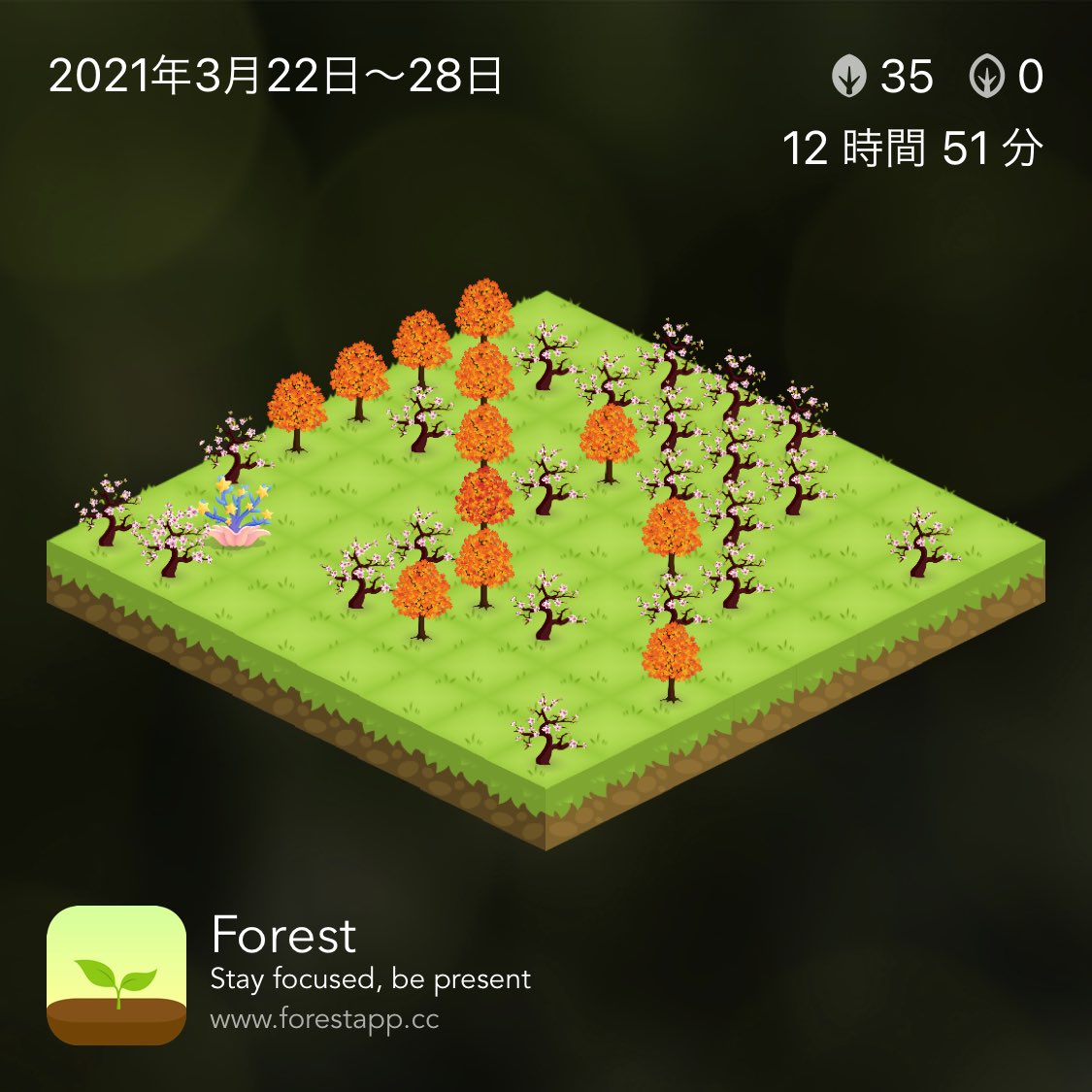 a_k___94's tweet photo. 今週もお疲れ様でした。
応用情報まで残り3週間！
#forestapp  https://t.co/CsaXrQNOgr https://t.co/7AXvgFS2K3