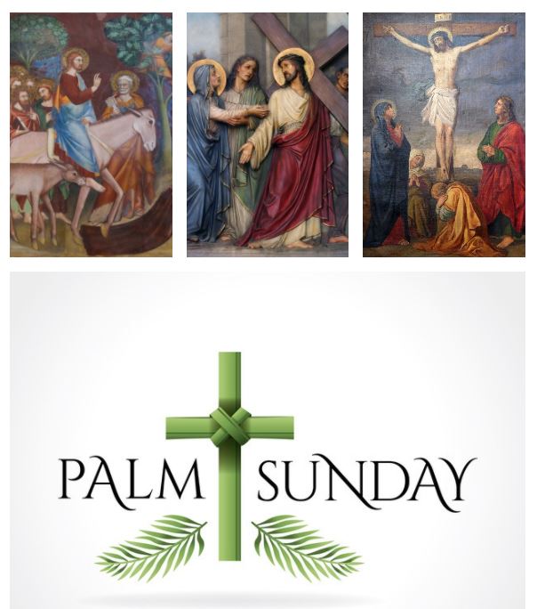 Today is Palm Sunday of The Passion of Our Lord. To read the reflection by Sr. Lisa Bergeron, OSU, and the reflections that our Sisters have been writing and sharing throughout Lent 2021, please visit:
tildonkursuline.org/spiritual-refl…