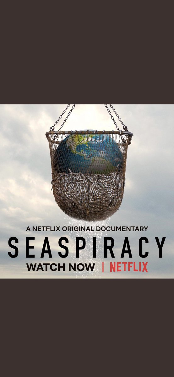 The Dead Shadows tweet media