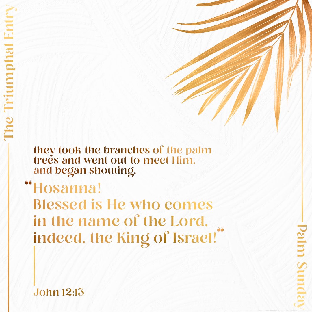Do not fear. Behold, your King is coming, just as it is written.
John 12:12-19
#PalmSunday2021