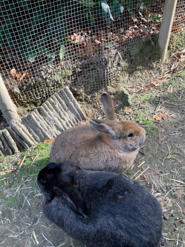 Alex Agnew tweet media