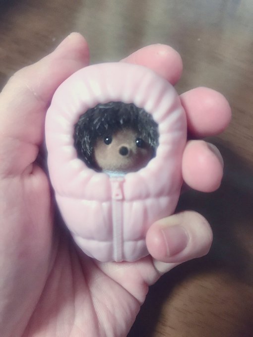 寝袋のtwitterイラスト検索結果