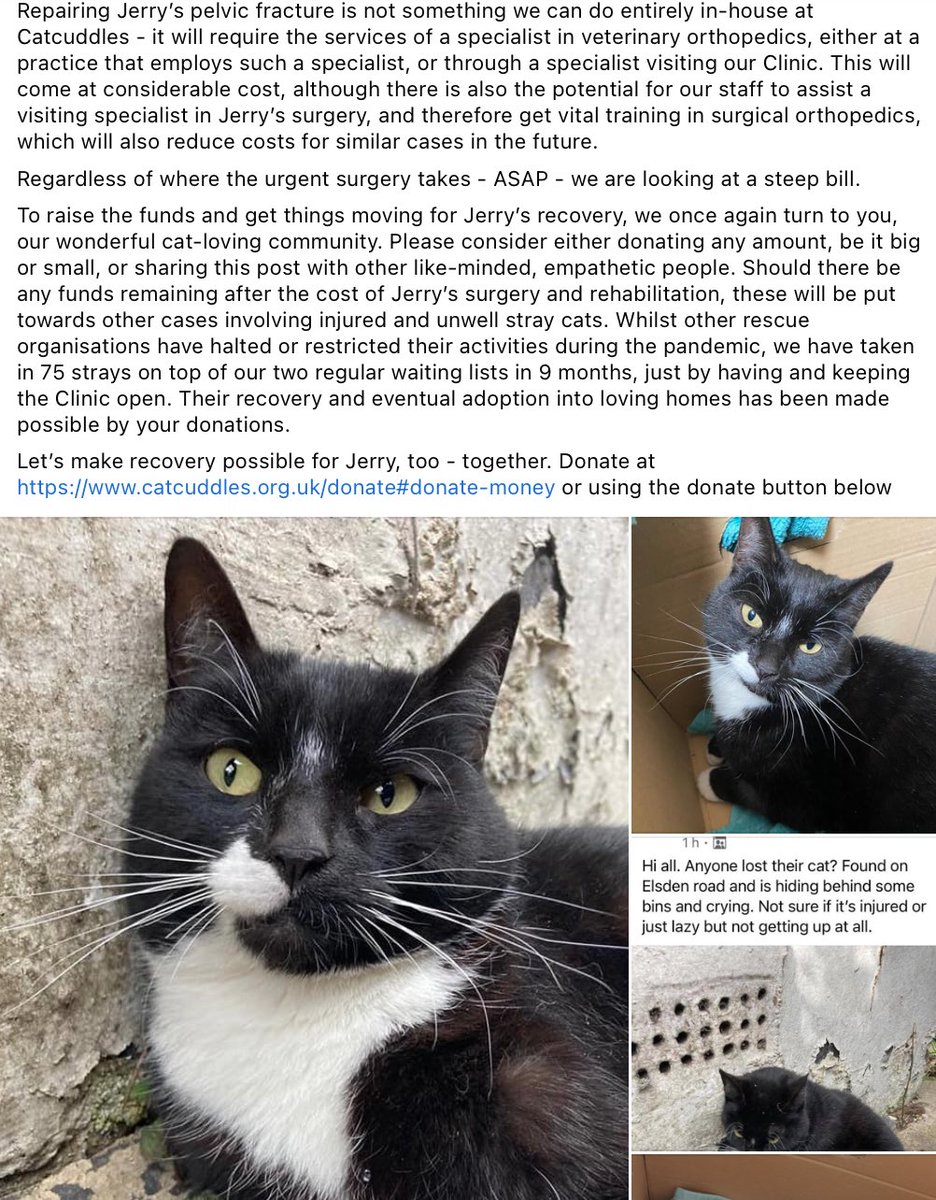 We are launching an urgent fundraising effort to cover the cost of diagnosis, specialist orthopedic surgery, and recovery for “Jerry”, a cat with a fractured pelvis who was rushed to our Clinic by two good samaritans in North London. His story told through these images.