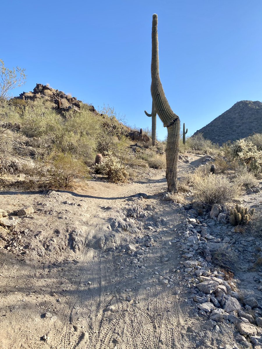 ryfoto's tweet photo. I returned to ride the San Tan Trail aka Broken Shoulder Ridge for the first time since the crash at Thanksgiving. Happy to report that only the bike tires hit the trail this time. #mtb #mountainbiking #santan #azmtb @Pivot_CyclesUSA https://t.co/6SVA7ELkSL