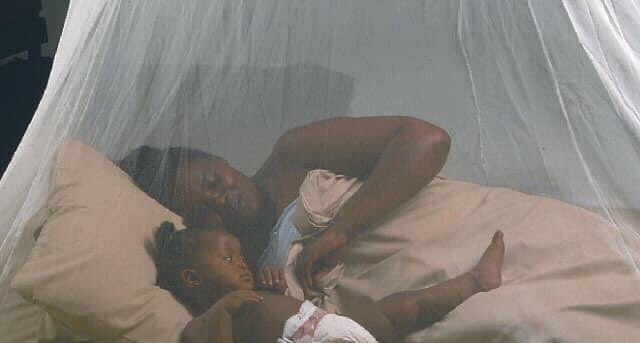 TrendRoomUG's tweet photo. The malaria prevalence has reduced to 7% due to the @minofhealthug giving out free nets. #SleepUnderNetUg https://t.co/SeBvIZbO3u