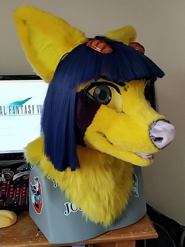 VaporMoonStudio's tweet photo. His head is officially done! #fursuit #furry #jjba #brunobucciarati #fursuithead #furryfandom #furrycraft #brunobuccellati #jojosbizarreadventure https://t.co/mhRXvtilbC