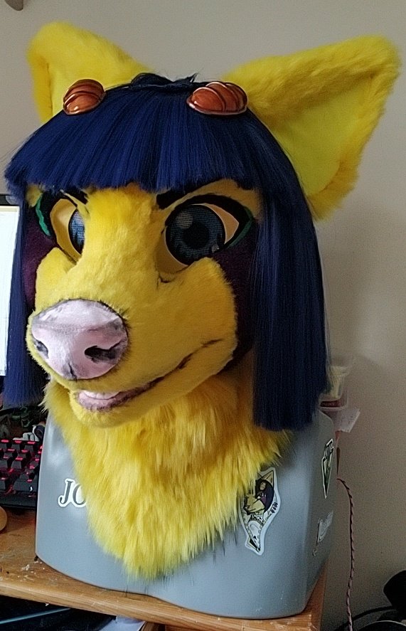 VaporMoonStudio's tweet photo. His head is officially done! #fursuit #furry #jjba #brunobucciarati #fursuithead #furryfandom #furrycraft #brunobuccellati #jojosbizarreadventure https://t.co/mhRXvtilbC