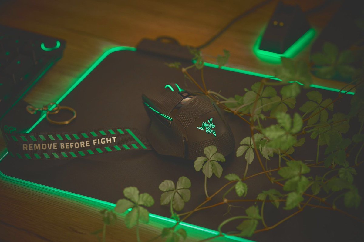 RazerMENA's tweet photo. Razer Basilisk Ultimate في بيئتها الطبيعية 🐍
📸 @hakotaro25252 https://t.co/DLSoP3RHw8