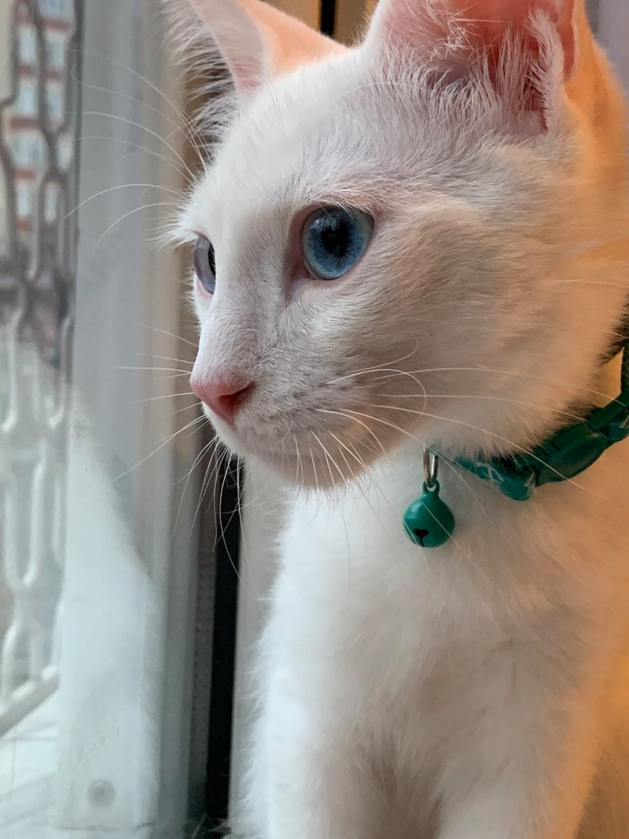 Bir haber bekliyoruz.
Taga sahip çıkın arkadaşlar.
Lütfen en acil şekilde ses olalım.
Rt yapın mesajı okusunlar.
#KabineÖğrencileriDuy