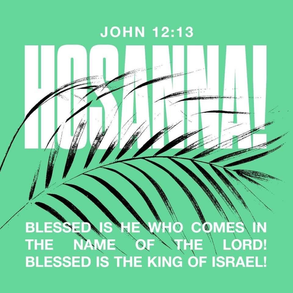 TinaHake's tweet photo. #john1213 #HosannaInTheHighest #PalmSunday #Jesus https://t.co/sVueP6m88s