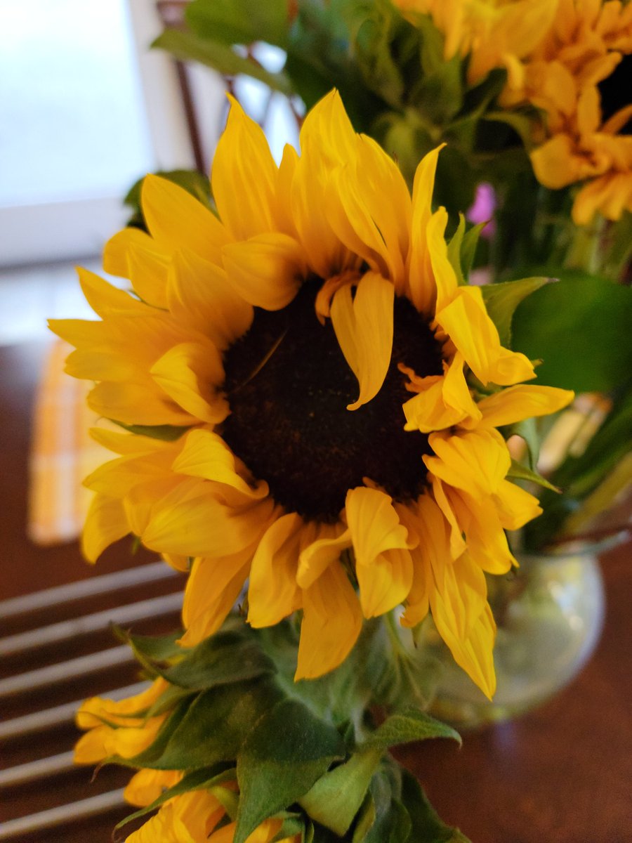 ChocoReviews's tweet image. Flowers.  Shot on #GalaxyNote20Ultra by @SamsungMobileUS