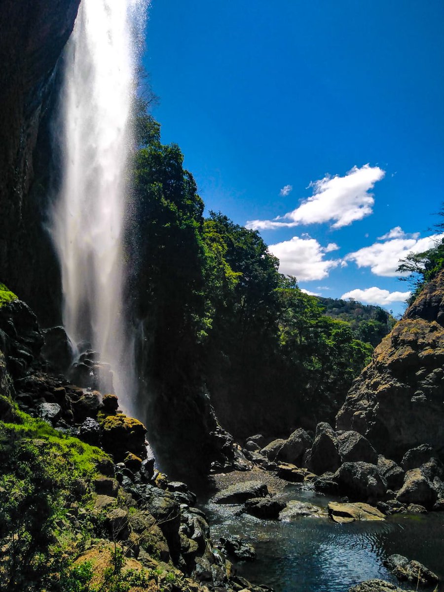 nicoled1199's tweet photo. En un paseo por la naturaleza uno recibe, mucho más de lo que anda buscando...🤍🍃 https://t.co/PaUaI8XDsh