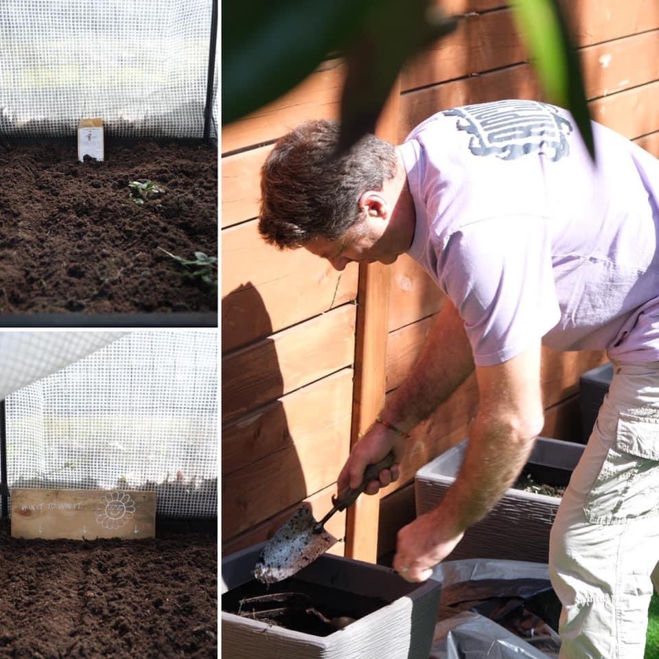BHT_Sunflowers's tweet photo. Jersey are IN! 🇯🇪🌻

These guys are probably my pick for favourites in this year’s competition. As the old proverb goes, there’s nothing so dangerous as a 2nd year entrant who in the first year had their saplings eaten by a dog, but still recovered to finish 2nd. #inittowinit https://t.co/yEdRT63ERn