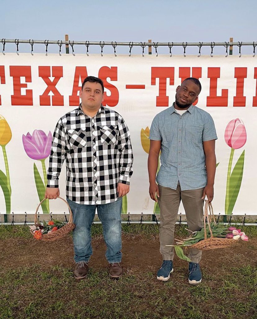 Texas-Tulips tweet media