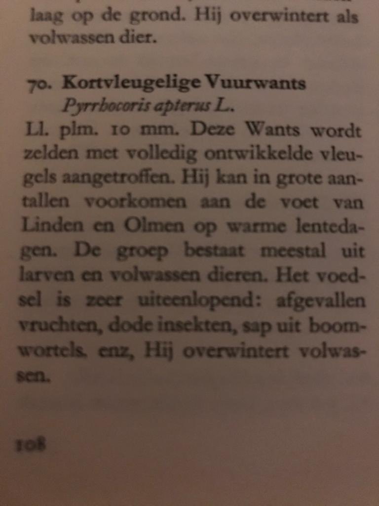 pmwesterhout's tweet photo. @jaspervankuijk https://t.co/S8azz8fJvZ