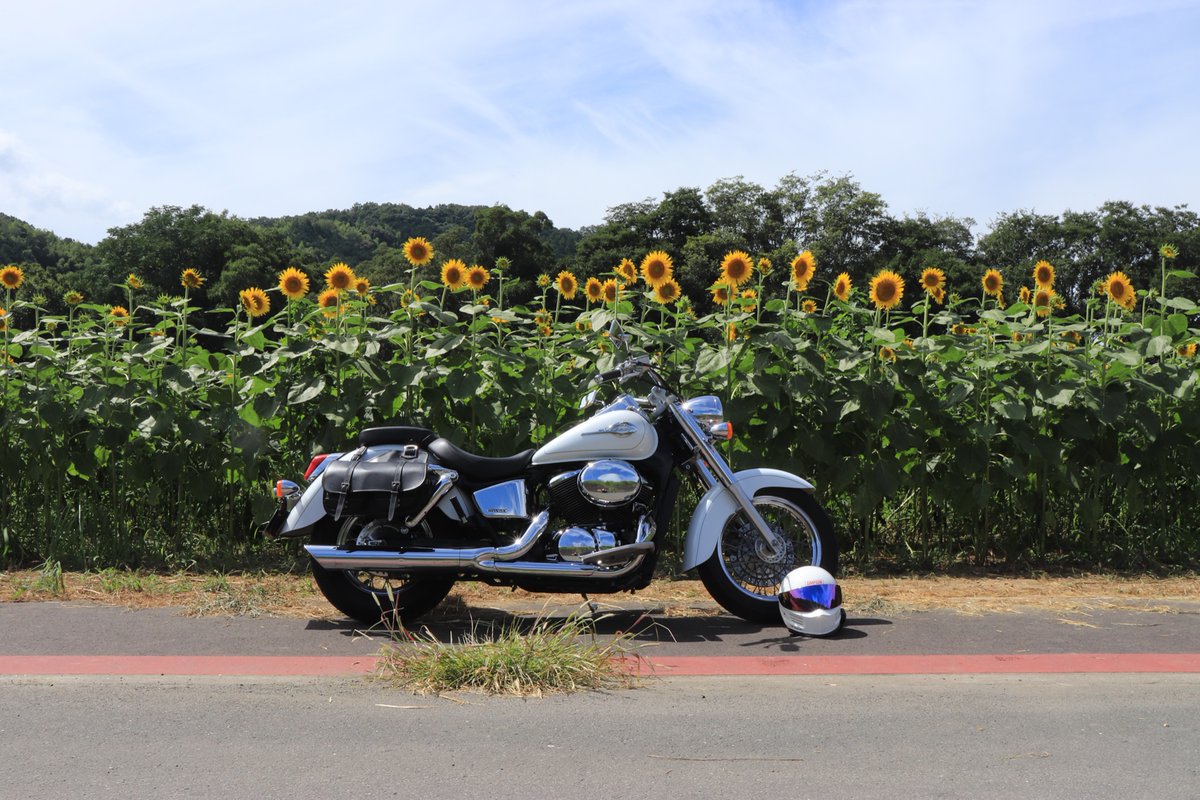 gakuto_shadow50's tweet photo. シャドウと巡る日本の季節
 
#誰か優しい人が拡散してくれてフォロワーさんが増えるらしい 
#東京カメラ部 #四国カメラ部 
#写真 #写真好きな人と繋がりたい #拡散希望︎ 
#バイクのある風景 #バイク女子 #バイク男子 #バイク好きな人と繋がりたい #シャドウ400
#canon #canonphotography #photography https://t.co/6Q6yvqqcBx