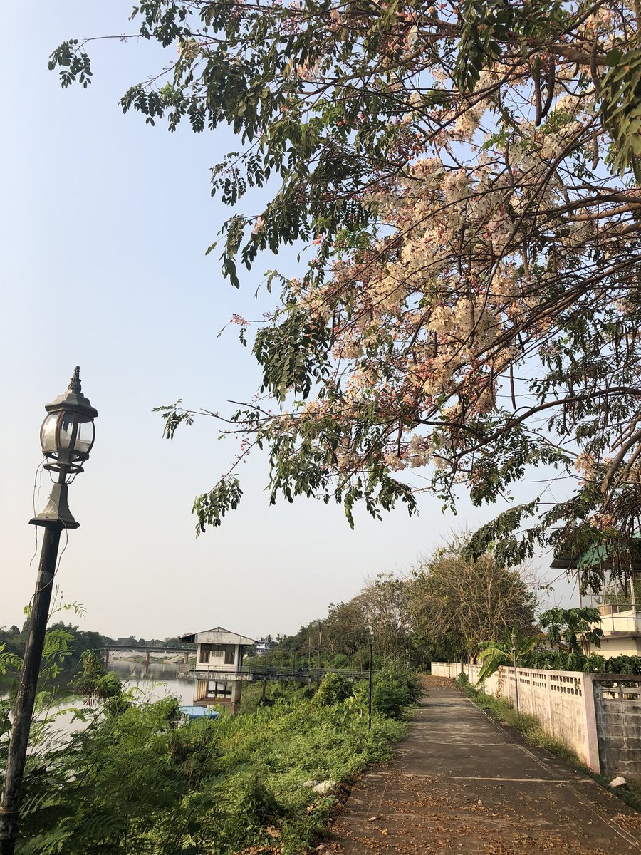RosePri095's tweet photo. ขอบคุณมากครับสำหรับรูปสวยๆและเป็นสิ่งที่ดีสำหรับเราแค่ได้เห็นภาพสวยๆก็มีความสุขขึ้นมาก #JAEHYUN https://t.co/jgk0MNyvrV