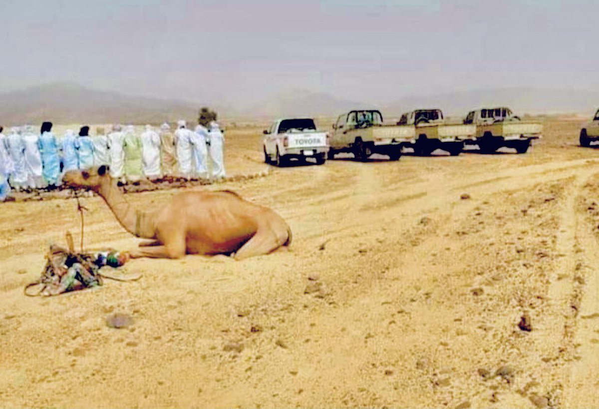 KessouSougour tweet picture