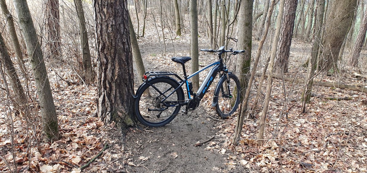 TBadekar's tweet image. FØKK