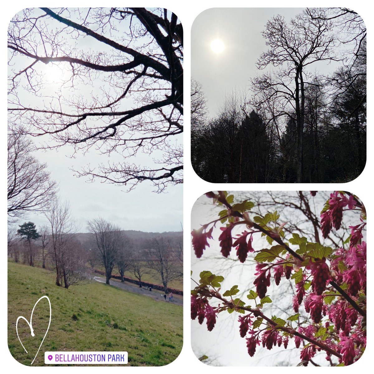 LadyKazHaya's tweet photo. 💚☀️#BellahoustonPark #Glasgow #ColdWalk https://t.co/DcL05b4a9W