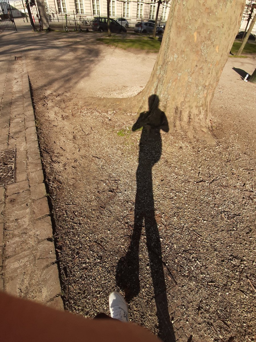 SarahLamote's tweet photo. 'Ik schrijf beter als ik loop.' Als @saskiadecoster het zegt. #startrunningagain 🏃🏻‍♀️👩🏻‍💻 https://t.co/9jGIwRWuDj https://t.co/YPnRWeDQU6