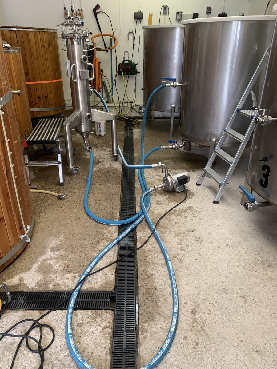 Cornish Crown tweet media