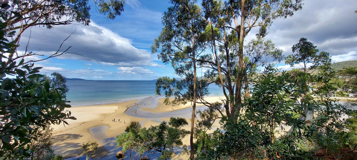 Brigette Metzler tweet media