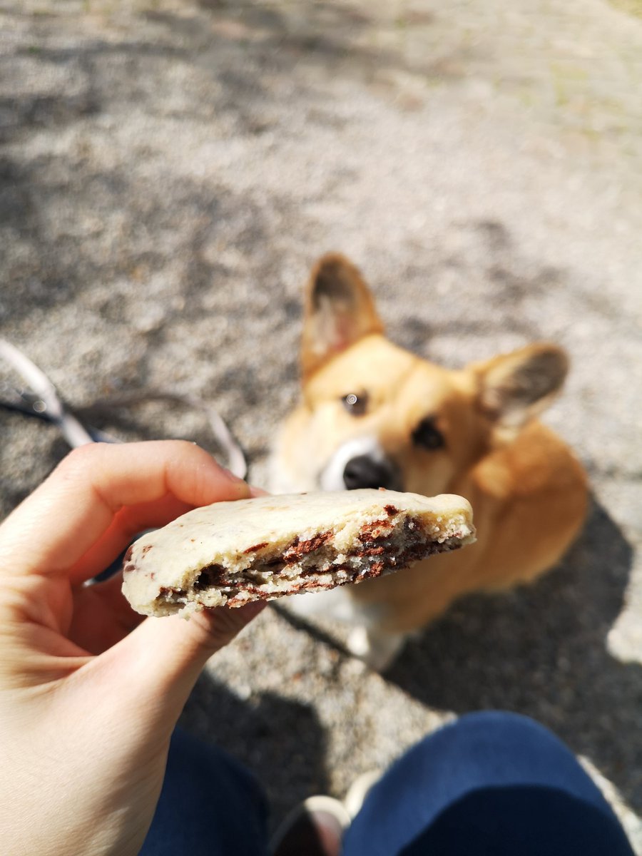 KanaAiysoublood's tweet photo. Sunday's lunch ! #Unmeat #BakeryBakery #Vegan https://t.co/wt63w9OfvG