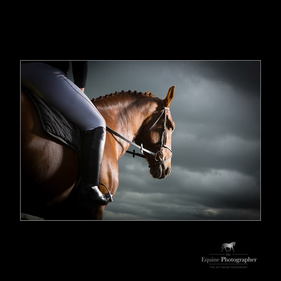 theEquinePhotog's tweet photo. "For one to fly, one needs to take the reins" 
Melissa James

#equestrian #horses #horse #equestrianlife #horsesofinstagram #horseriding #equine  #showjumping #equestriansofinstagram  #instahorse  #horselover  #equestrianphotography  #horserider #equinephotographer https://t.co/XkQpGGAdqF