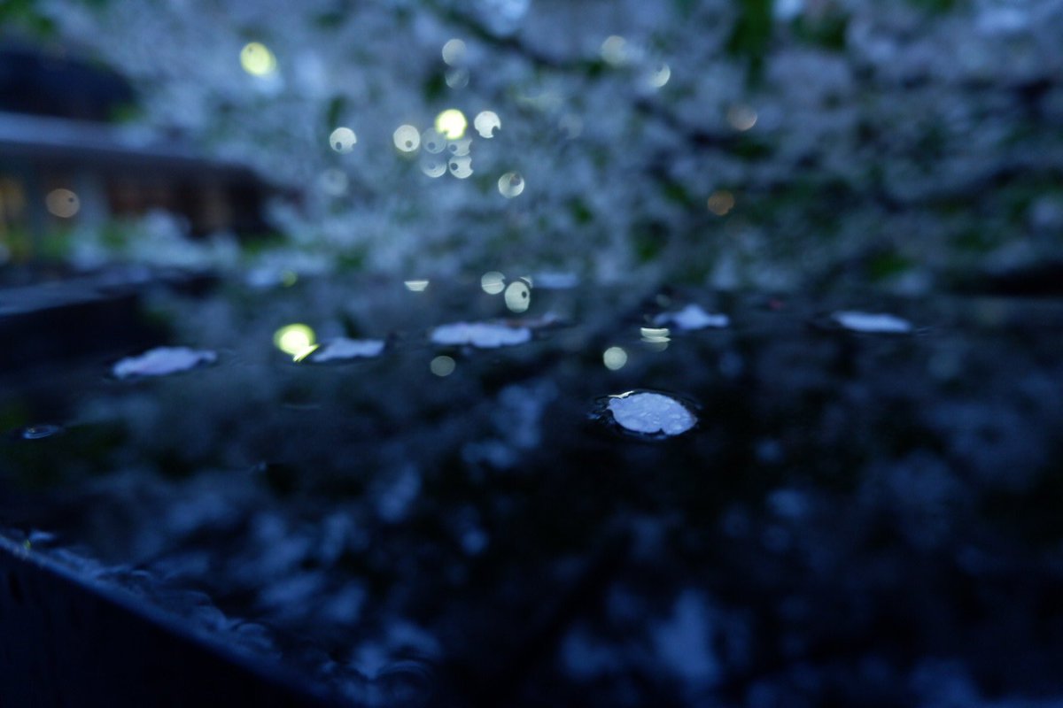 PhotoAkasi's tweet photo. 相変わらず休みとなると雨になる☂️
でもまたちょこっとだけ撮り方わかった気がするー❗️ https://t.co/1QMr840QkN