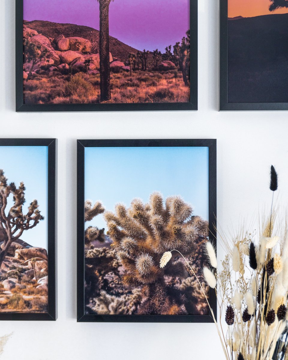 kipavista's tweet photo. Live life in color 💜💙
https://t.co/vKKcL0WS45
#gallerywall #homedecoration #posterwall https://t.co/OkOTipsynZ