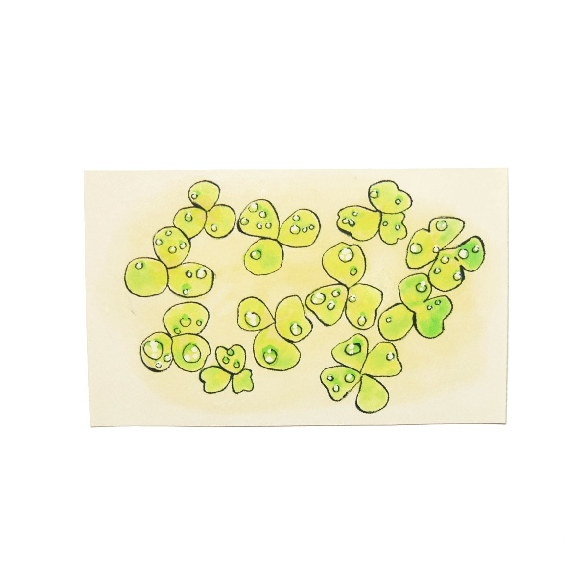 イラストレザーちょび 何の日イラスト 今日は 三つ葉の日 です 三つ葉は三枚ある葉や三枚に分かれた葉を出す草木の事です ミツバは江戸時代から野菜としておひたしや和え物に用いられています 三つ葉のクローバーは別名 シロツメクサ で アイルランド イラストレザーちょび 何の日イラスト 今日は 三つ葉の日 です 三つ葉は三枚ある葉や三枚に分かれた葉を出す草木の事です ミツバは江戸時代から野菜としておひたしや和え物に用いられています 三つ葉のクローバーは別名 シロツメクサ で アイルランド