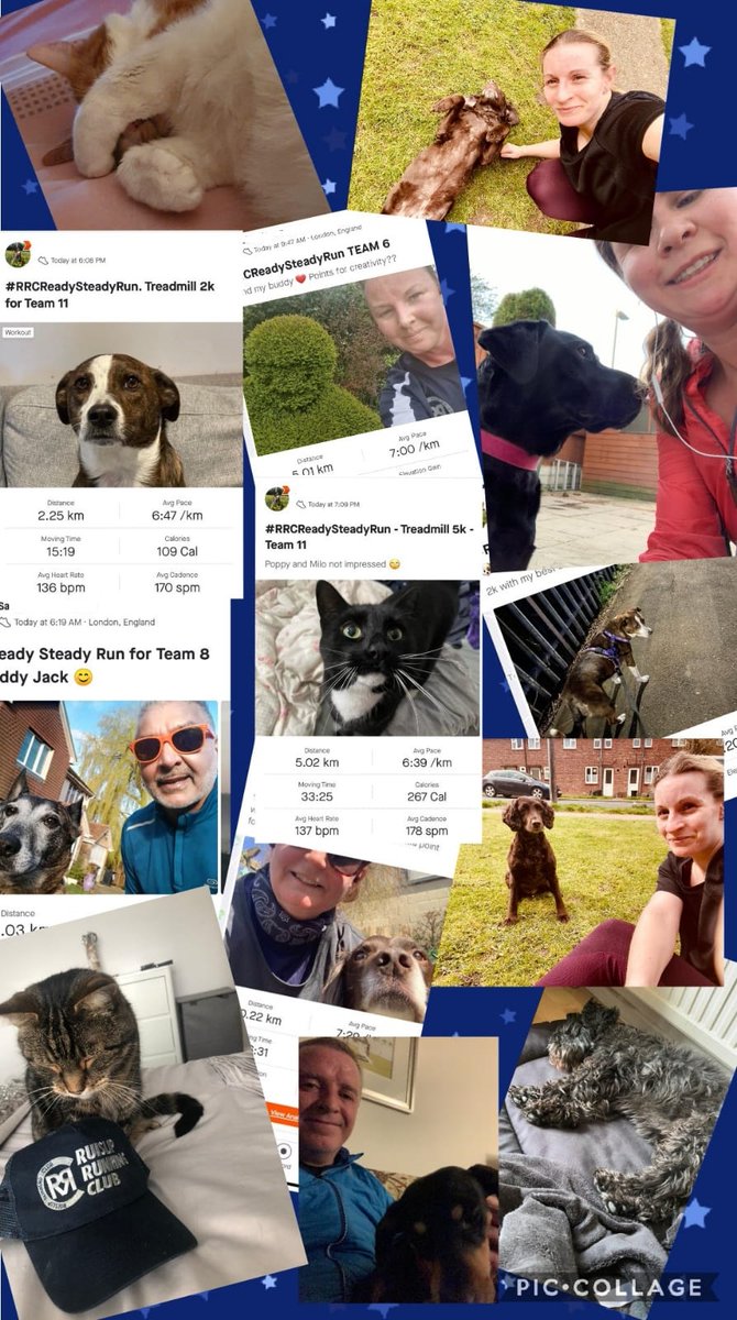 ruisliprc's tweet photo. #RunningChallenges When you tell Ruislip Running Club they can run with a buddy... https://t.co/If8DQRh5RH