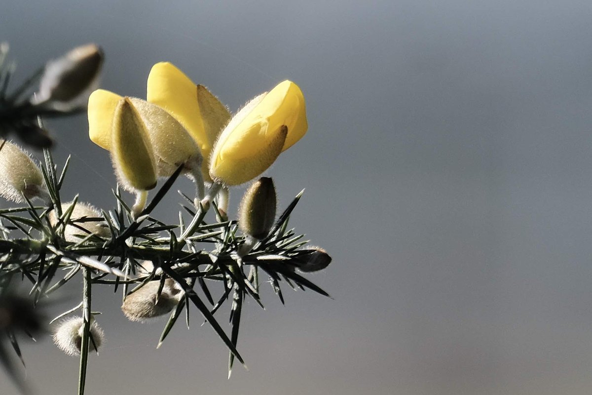 May you be blessed with deep peace and renewed strength this week. Connected to Love, which brings freedom and increasing hope. #Worcester #Easter #Jesus #renewal