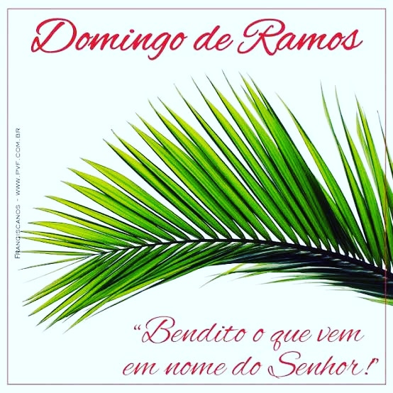 Alerta Rio 24 Horas's tweet - Alerta Rio 24 Horas's tweet -