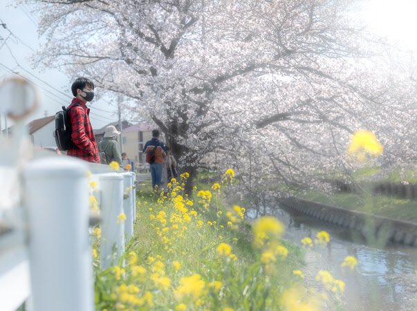 dllxxoo's tweet photo. 素敵写真いただきました。 https://t.co/QGm6NdYSWm