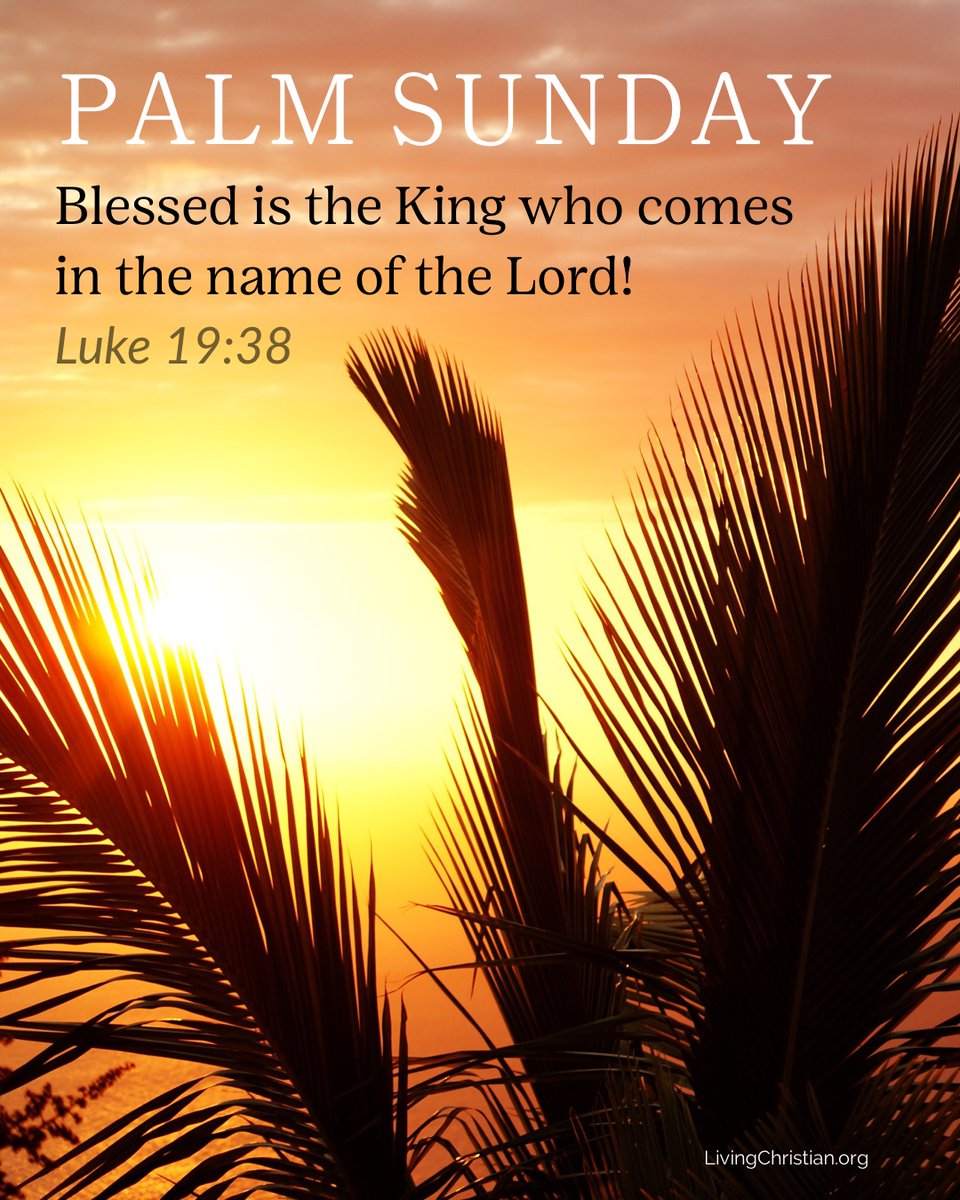 livechristian1's tweet photo. Happy Palm Sunday. In the Christian tradition, this is the first day of Holy Week and the Sunday before Easter, commemorating Jesus Christ’s triumphal entry into Jerusalem.

#palmsunday https://t.co/VPXR833MT0