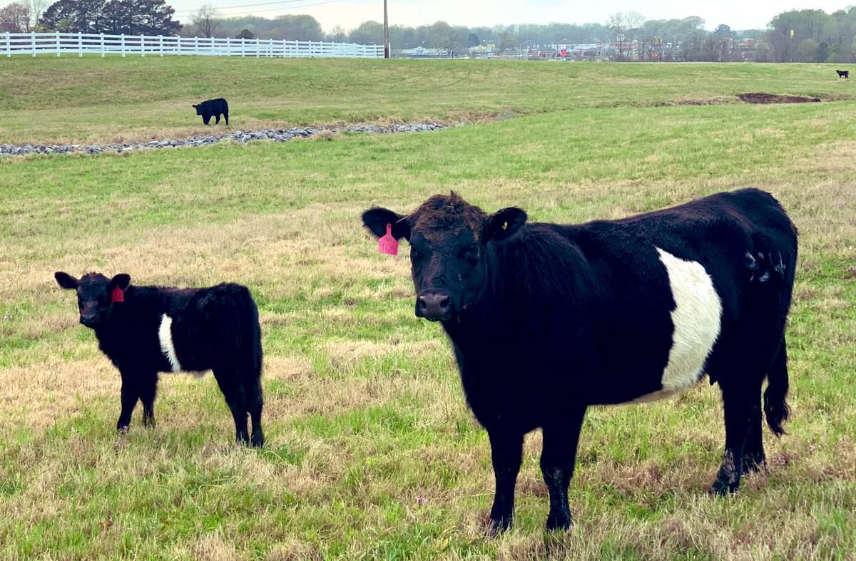 Keith Carver tweet media