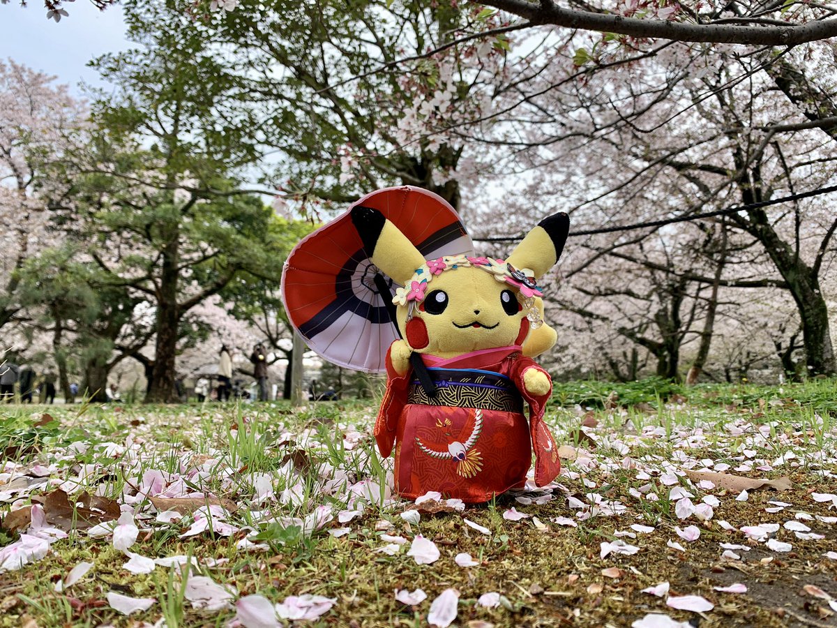 舞妓はんピカチュウ