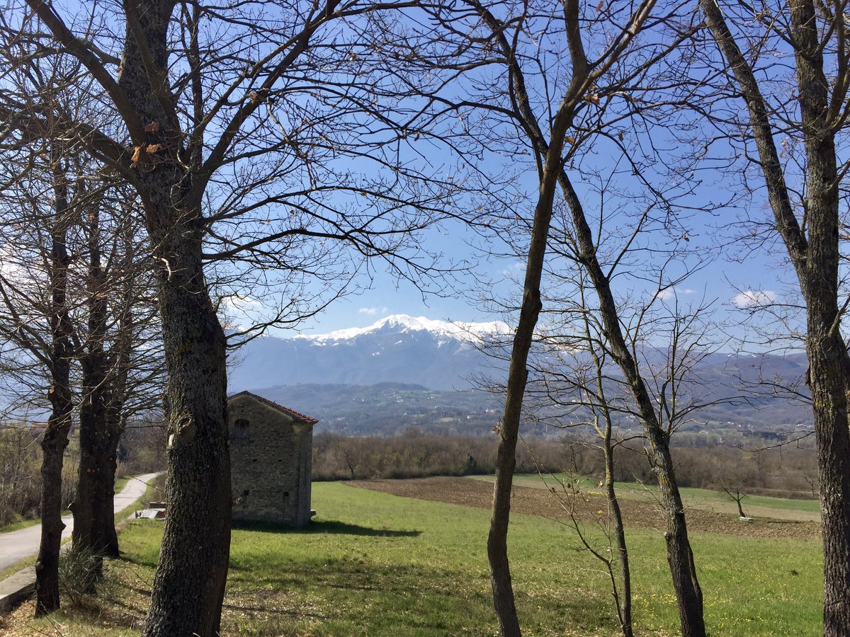 fraiovi's tweet image. Oggi ha rubato la scena!
#montemiletto #matese

#iocorroqui - sofferente e testardo!