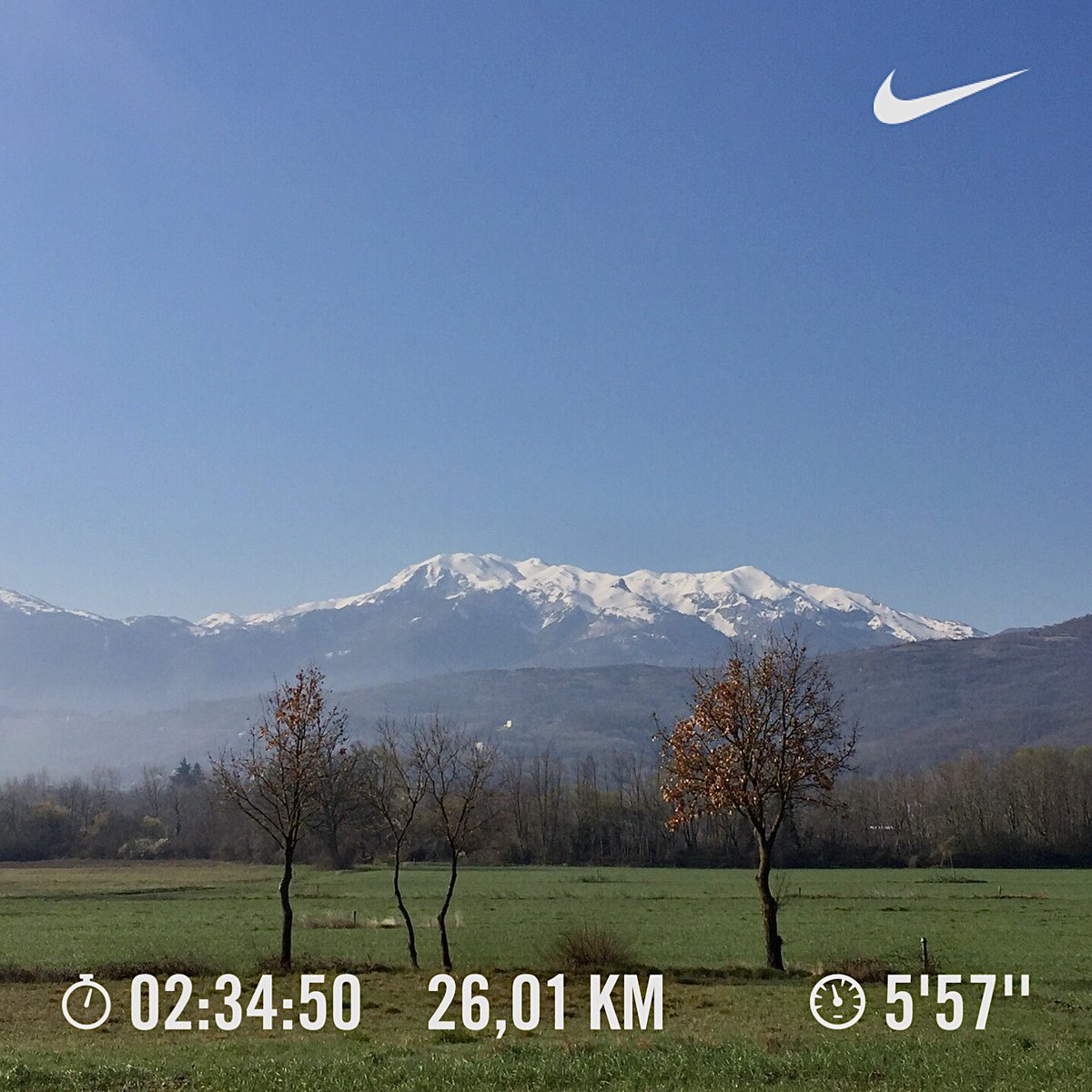 fraiovi's tweet image. Oggi ha rubato la scena!
#montemiletto #matese

#iocorroqui - sofferente e testardo!