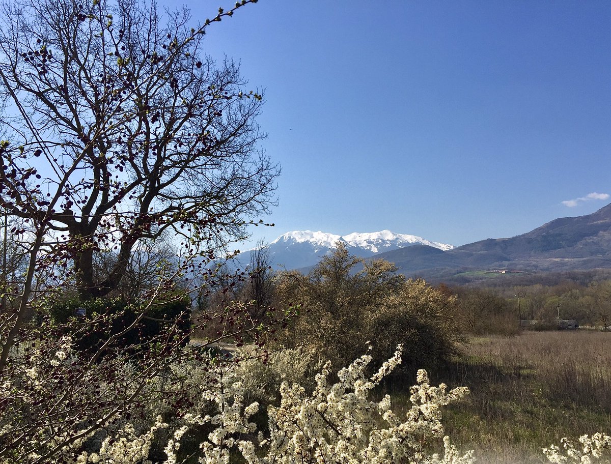 fraiovi's tweet image. Oggi ha rubato la scena!
#montemiletto #matese

#iocorroqui - sofferente e testardo!