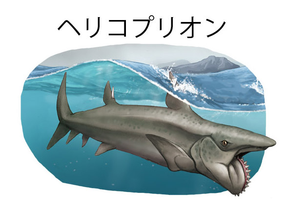 Tweets Populares川崎悟司 3 Whotwi Grafica De Analisis De Twitter