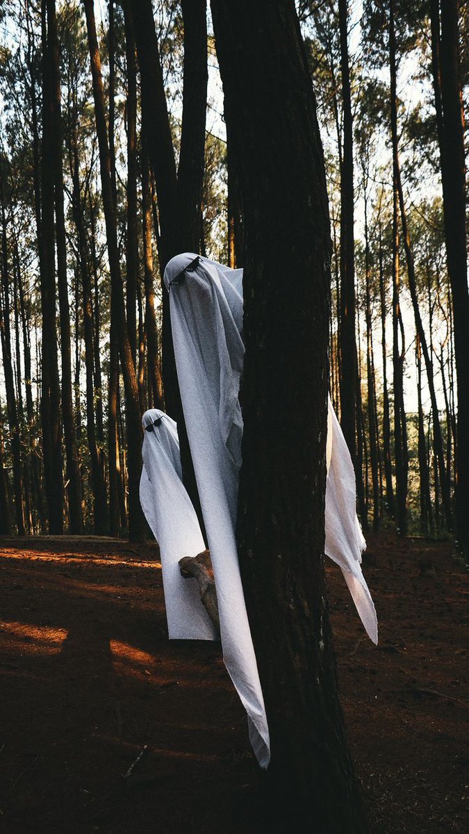 endlessecstasy's tweet photo. 📍| ghost trend aesthetic wallpaper 3.0 https://t.co/ntNGPAoNVG