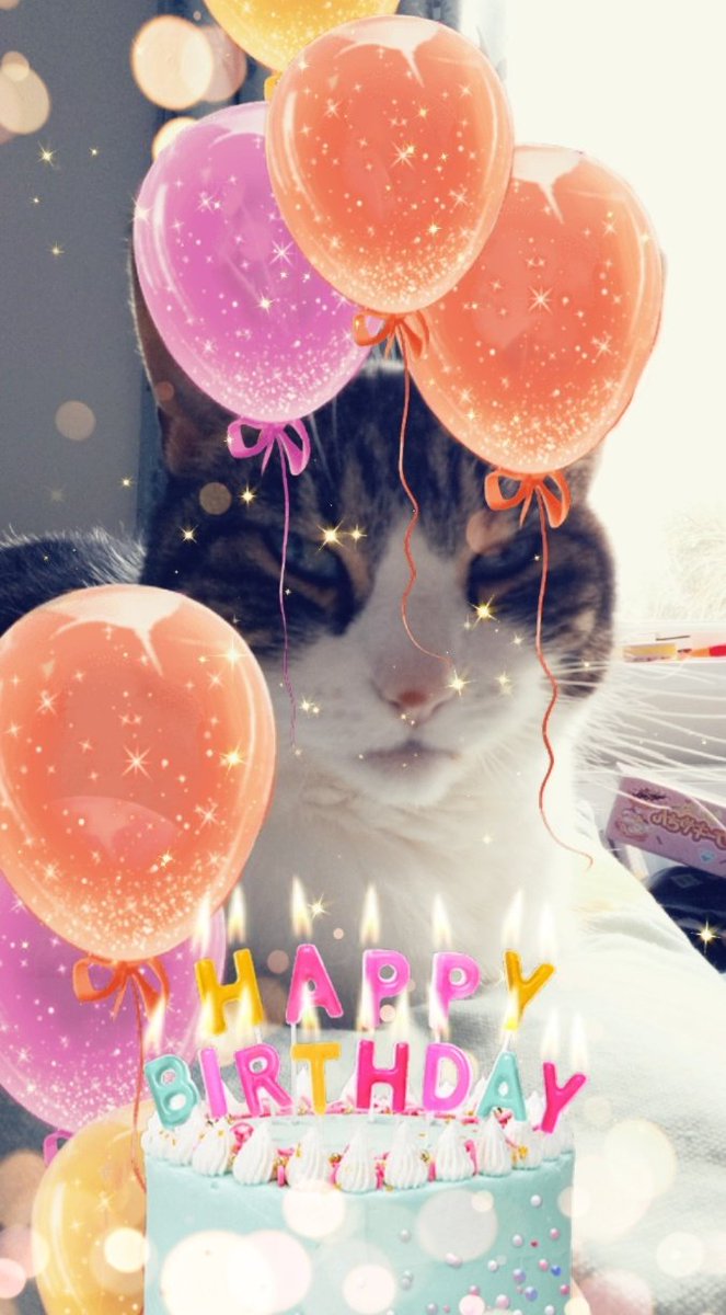 nomochann's tweet photo. 2nd birthday in lockdown 🎂 https://t.co/JdXt1bXmh0
