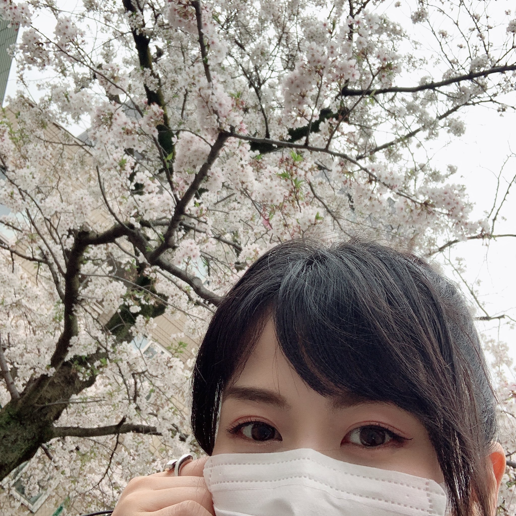 Tweets With Replies By 曳火流华 Sakuya Lzayoi Twitter